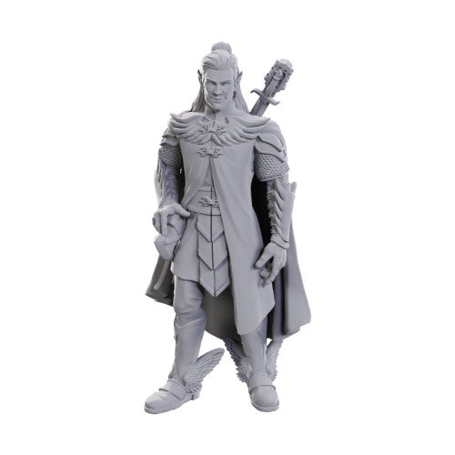 Critical Role Unpainted Miniatures: Dorian Storm - Miniatures