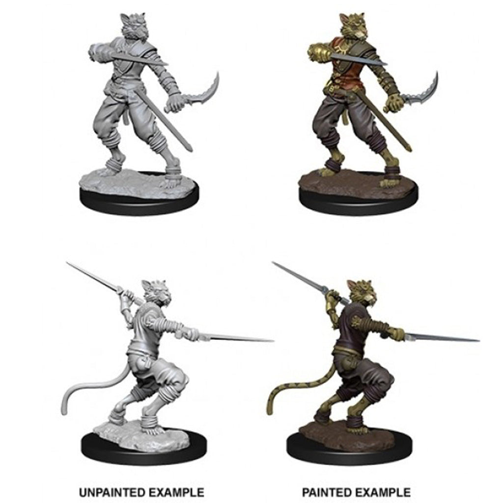 D&D Nolzurs Marvelous Miniatures Male Tabaxi Rogue - Miniatures