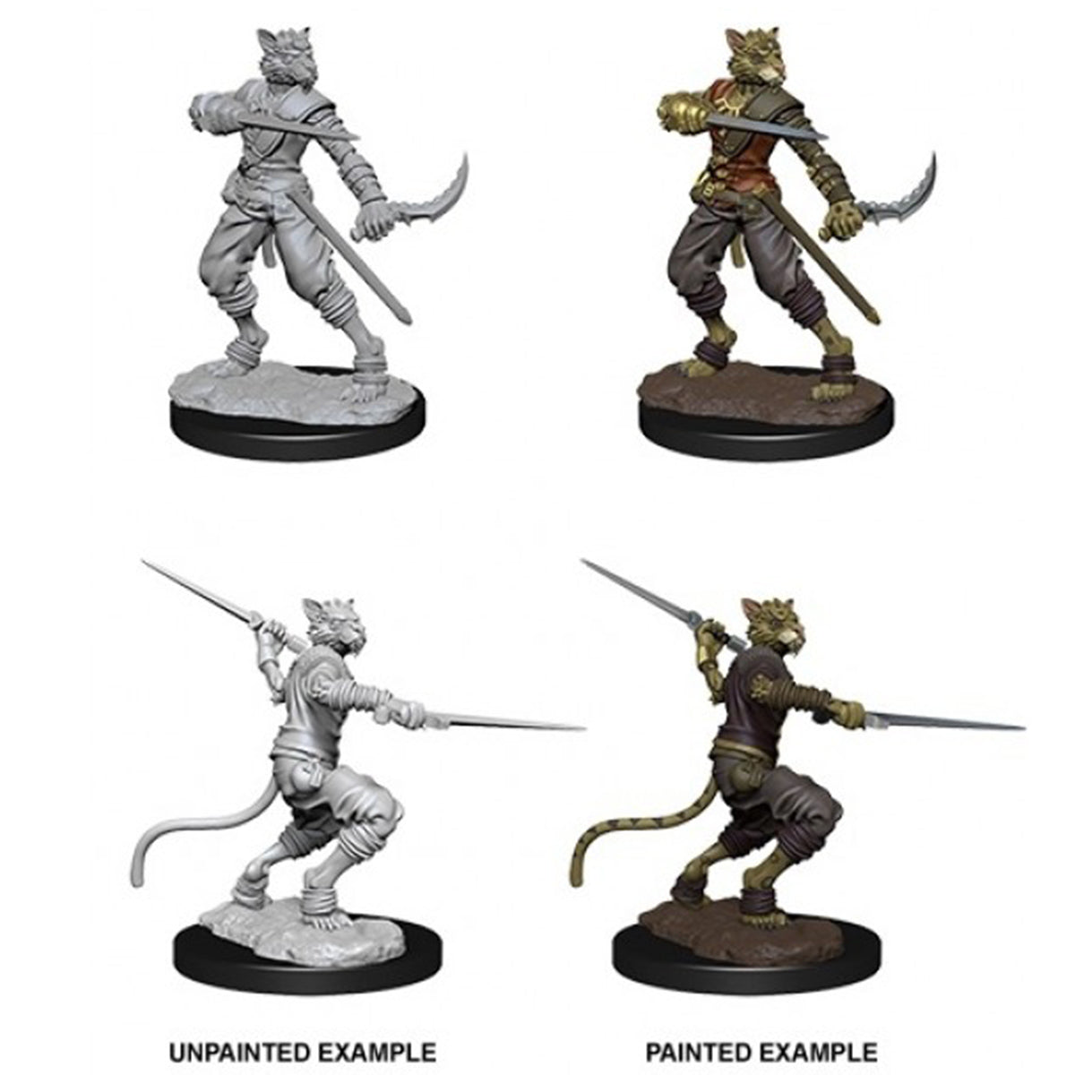 D&D Nolzurs Marvelous Miniatures Male Tabaxi Rogue - Miniatures