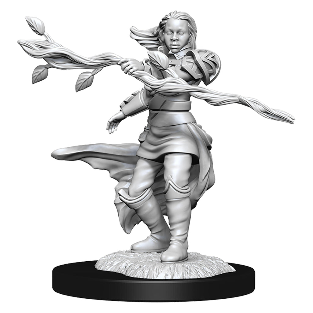 D&D Nolzurs Marvelous Unpainted Miniatures Human Druid Female - Miniatures - 2