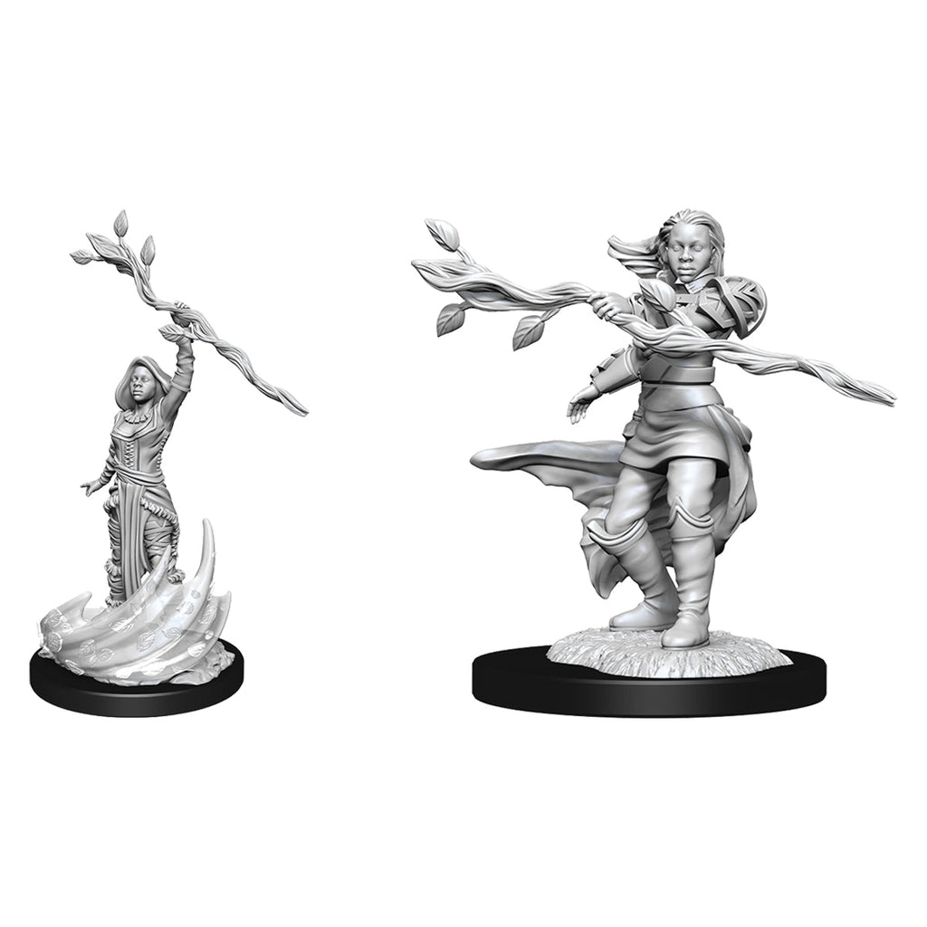 D&D Nolzurs Marvelous Unpainted Miniatures Human Druid Female - Miniatures - 3