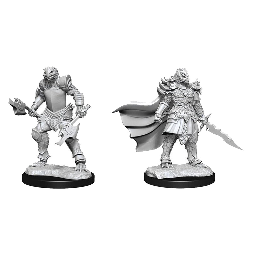 D&D Nolzurs Marvelous Unpainted Miniatures Dragonborn Fighter Female - Miniatures