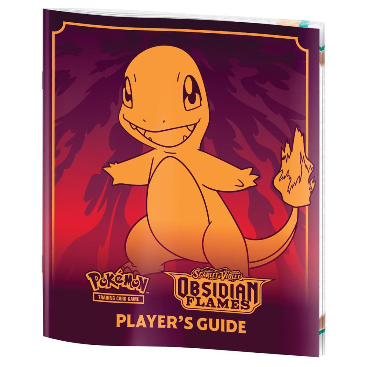Scarlet & Violet Obsidian Flames Elite Trainer Box POKEMON TCG - Trading Card Games - 3