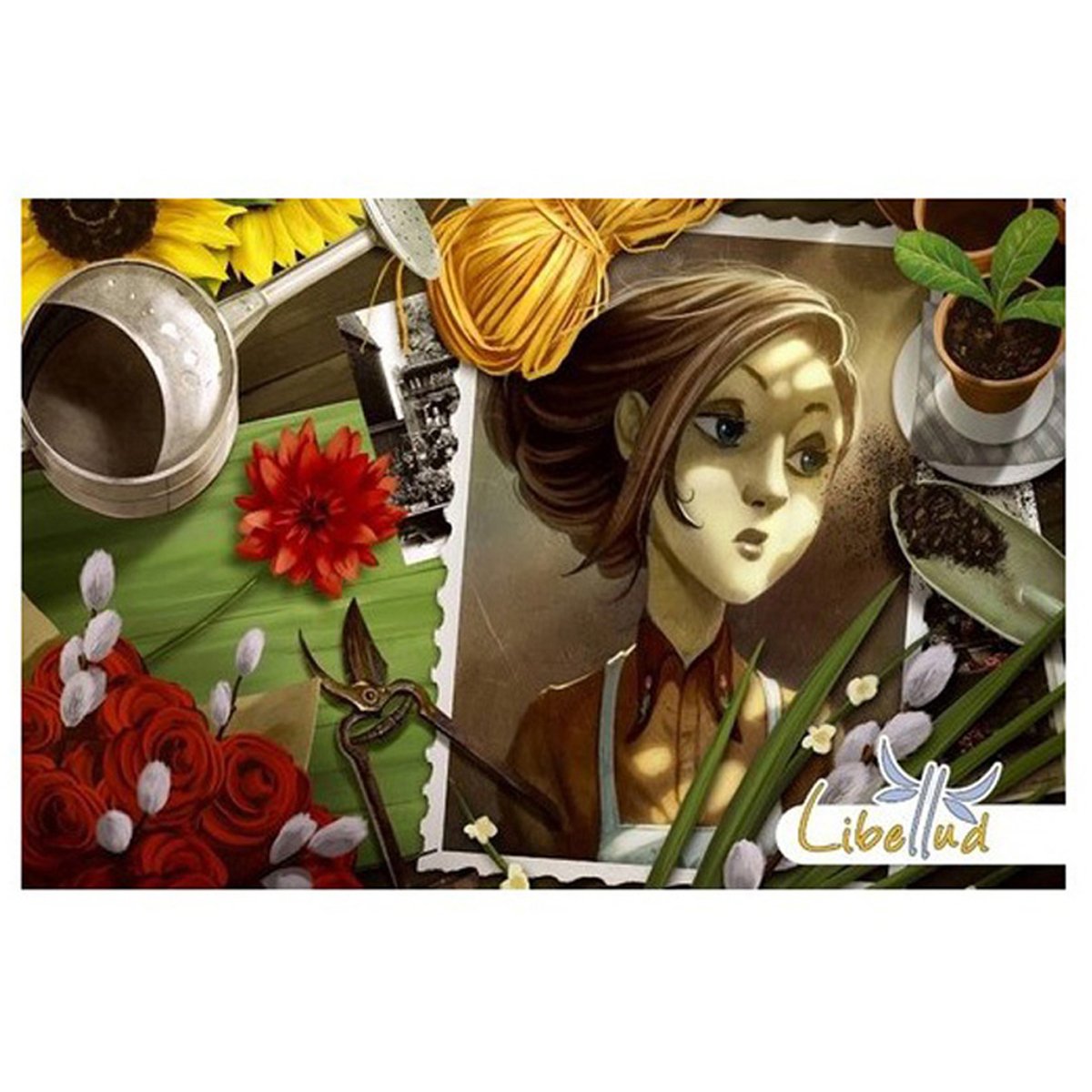 Mysterium Secrets & Lies Expansion - Board Games - 3