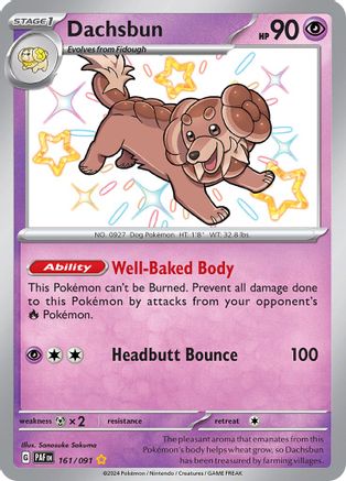 Dachsbun - 161/091 161 - SV Paldean Fates Holofoil - Single Cards
