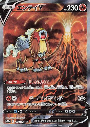 JAPANESE Entei V - 213/172 (213/172) - S12a VSTAR Universe Holofoil - Single Cards