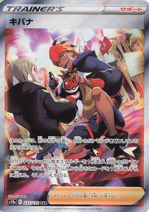 JAPANESE Raihan - 237/172 (237/172) - S12a VSTAR Universe Holofoil - Single Cards