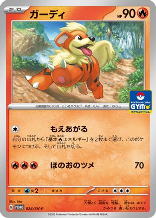 JAPANESE Growlithe - 024/SV-P (024/SV-P) - SVP Promotional Cards - Single Cards