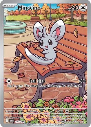 Minccino - 152/086 152 - SV Black Bolt Holofoil - Single Cards