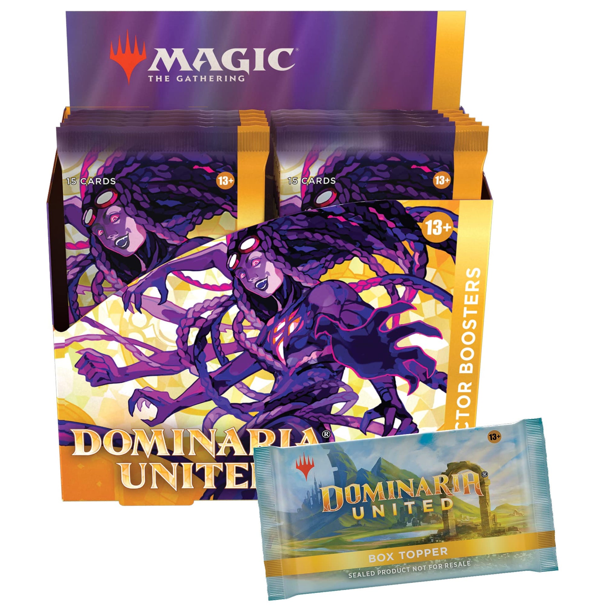 Magic The Gathering Dominaria United Collector Booster Box | 12 Packs + Topper Card (181 Magic Cards) - 2