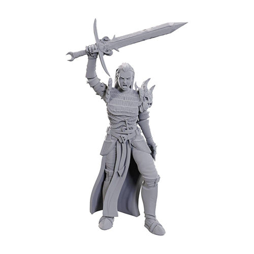 D&D Nolzur's Marvelous Miniatures: Blackguard - Miniatures