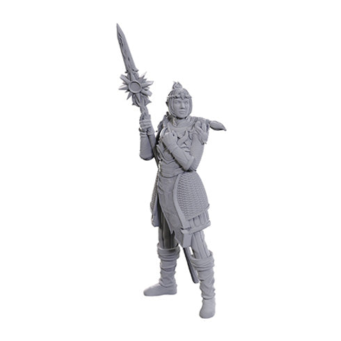 D&D Nolzur's Marvelous Miniatures: Special Edition - Baldur's Gate 3: Lae'zel & Shadowheart - Miniatures - 2