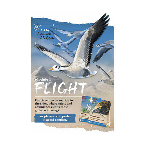 Nature Flight Expansion (Module 1) - Board Games - 2