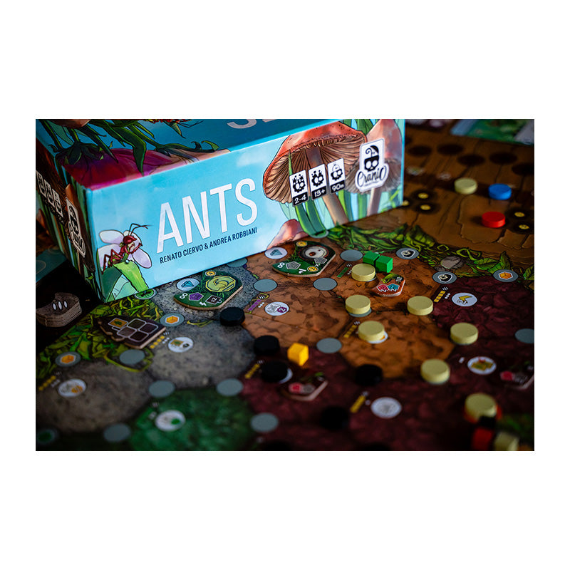 Ants - Board Games - 9