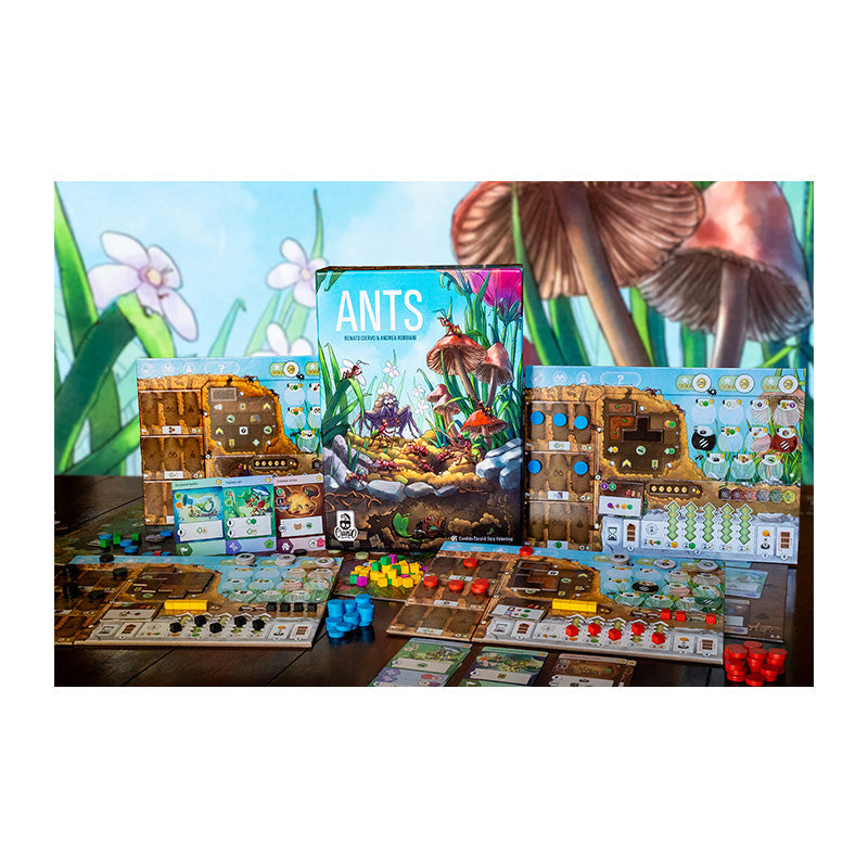 Ants - Board Games - 3